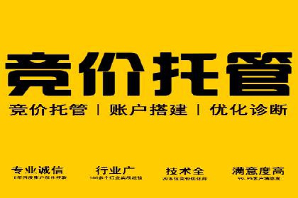 百度竞价运营实战案例分析